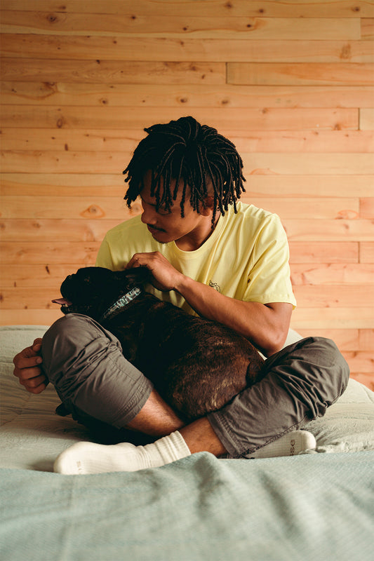 New Frenchie Hombre - Amarillo