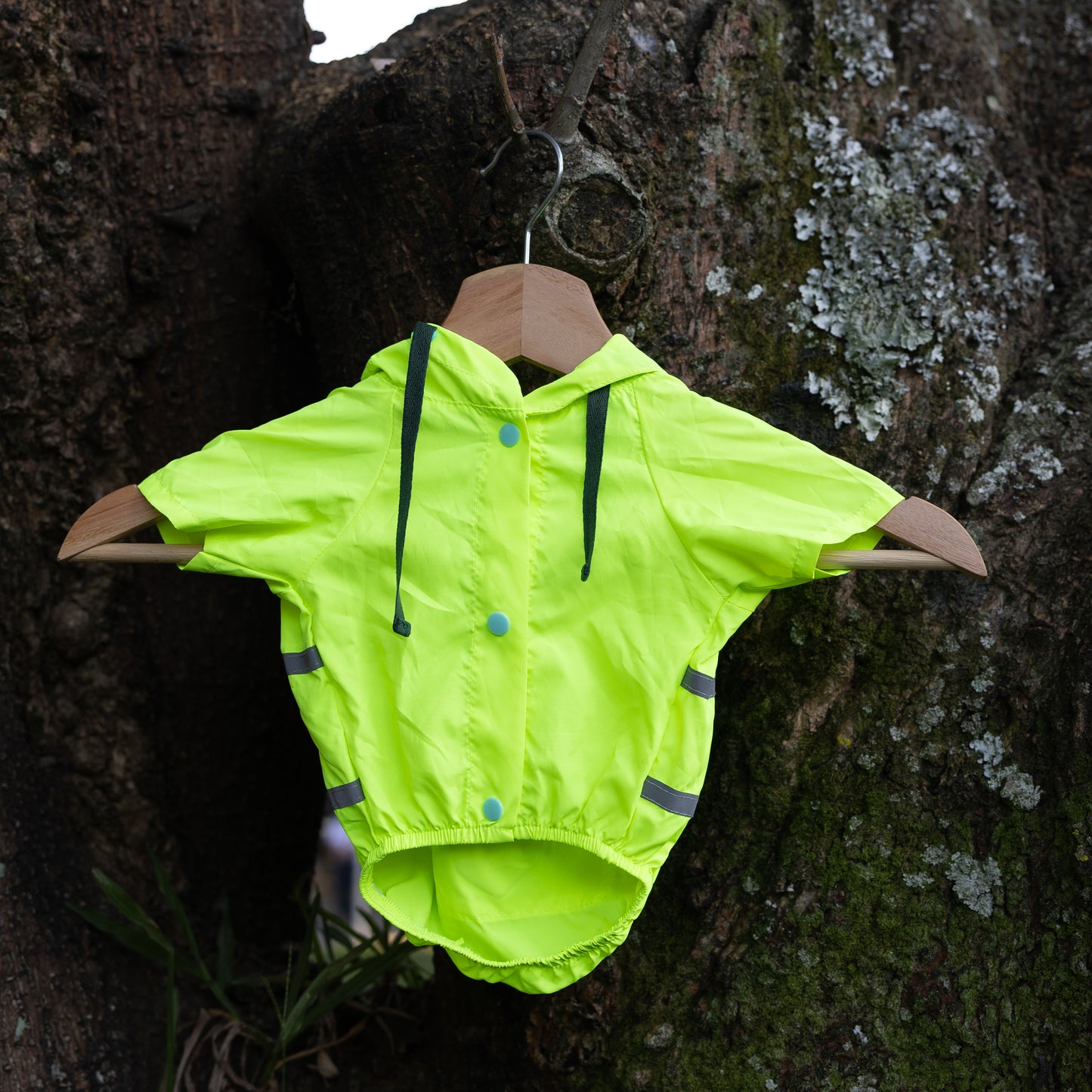 Chaleco impermeable para perros