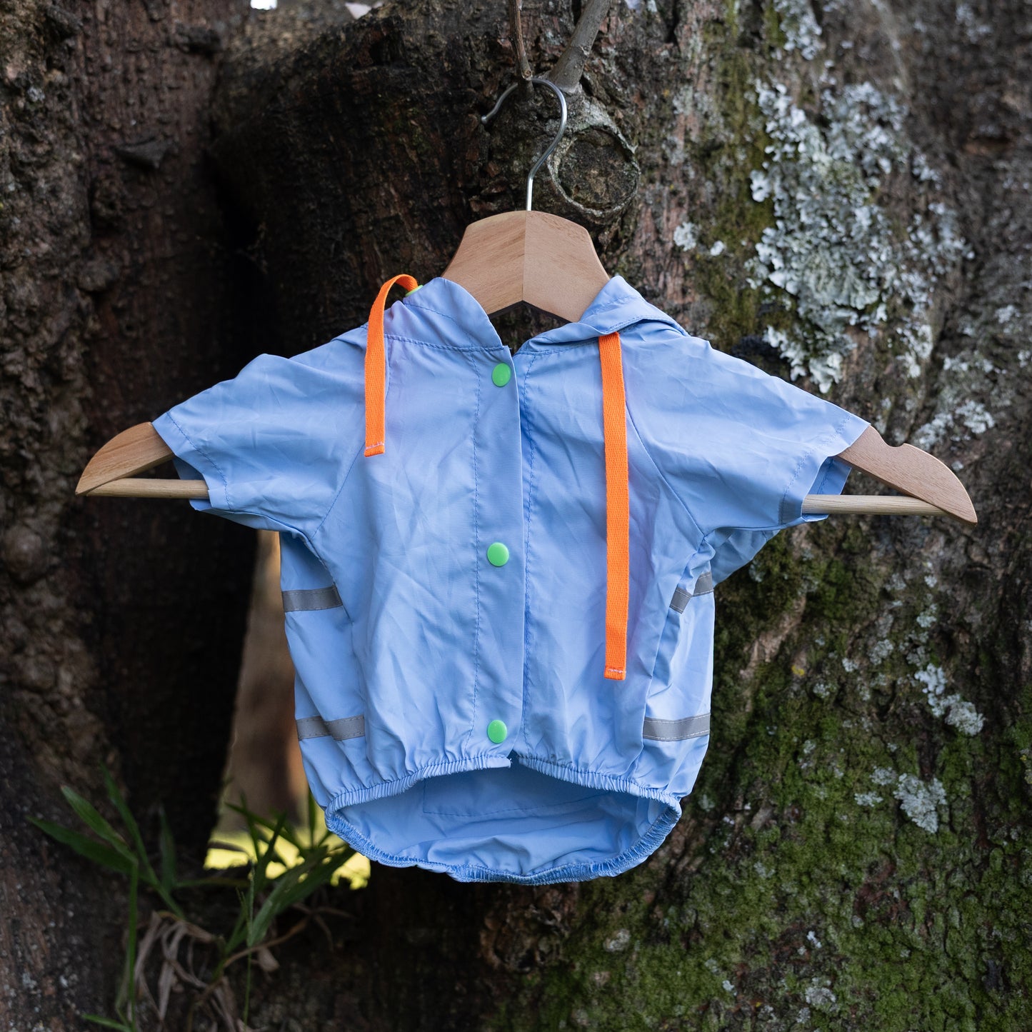 Chaleco impermeable para perros